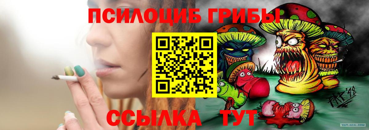Галлюциногенные грибы Cubensis Отрадное